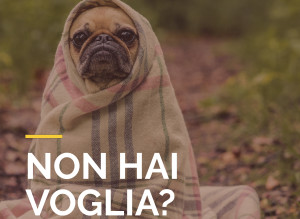 GRAMMATICAITALIANA